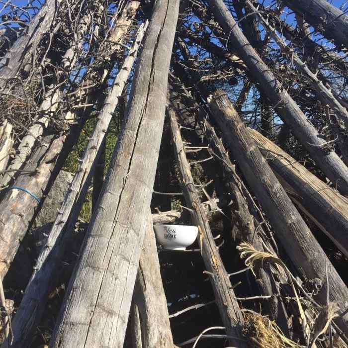 Near Hoyt Mountain Road: West Ridge Loop