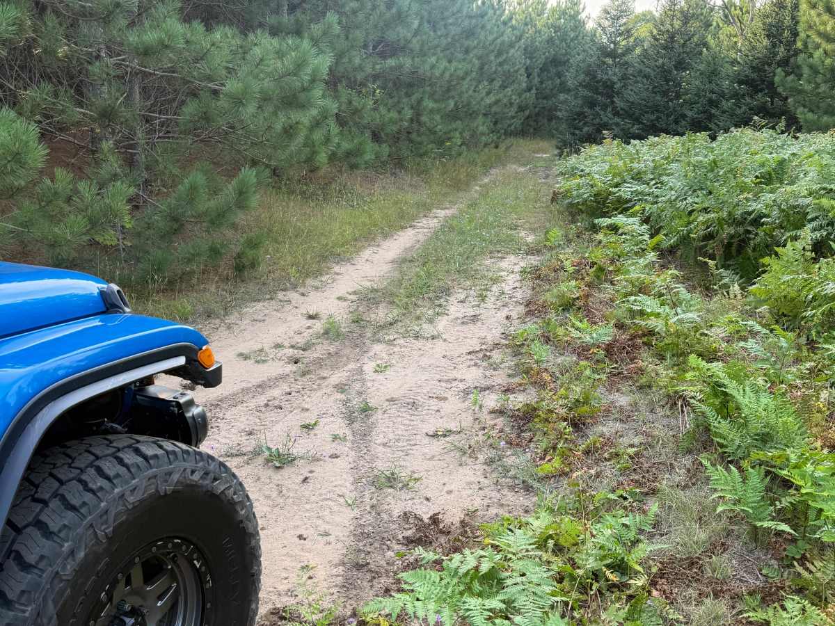 8-3 Powerline Trail photo 2