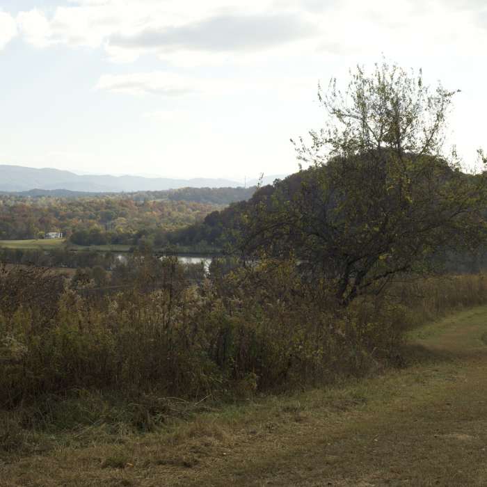Near Upland Trail Outer Loop
