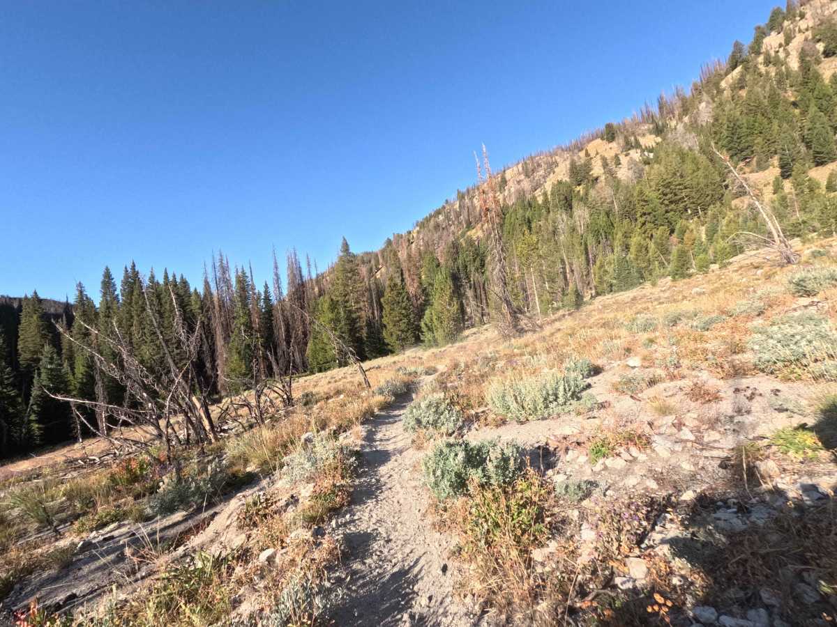 Alturas Lake-Mattingly - FS 7034 photo 4