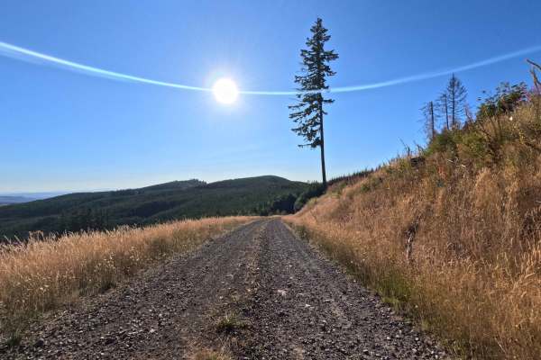 Crazy Man Mountain - W-546