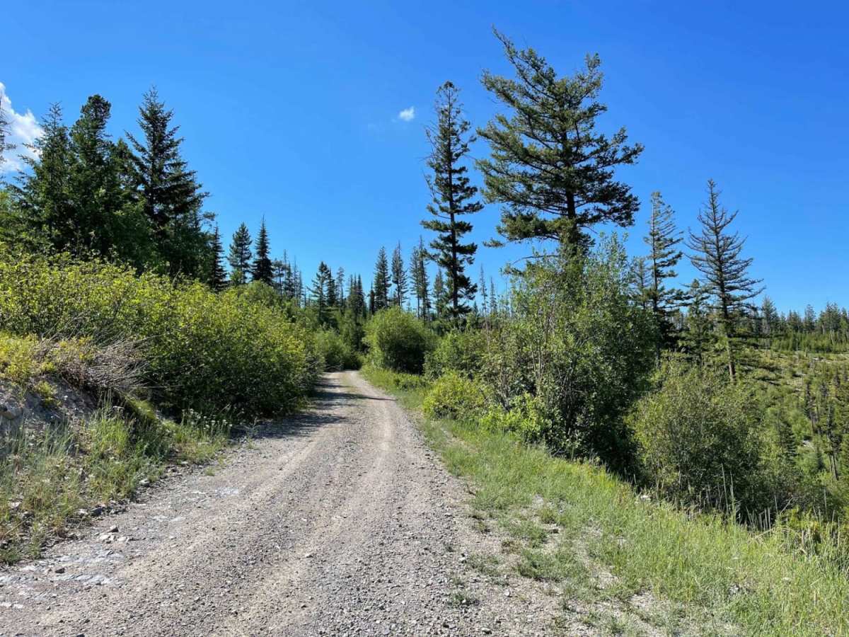 Miller Peak photo 4