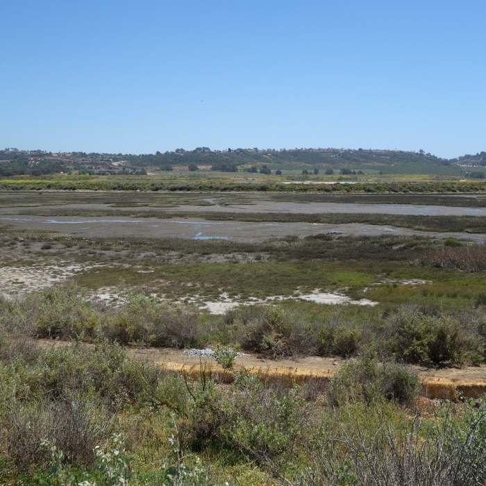 View south of San Dieguito Lagoon in late spring with I-5 at the right edge. Near Coast to Crest Trail: San Dieguito Lagoon