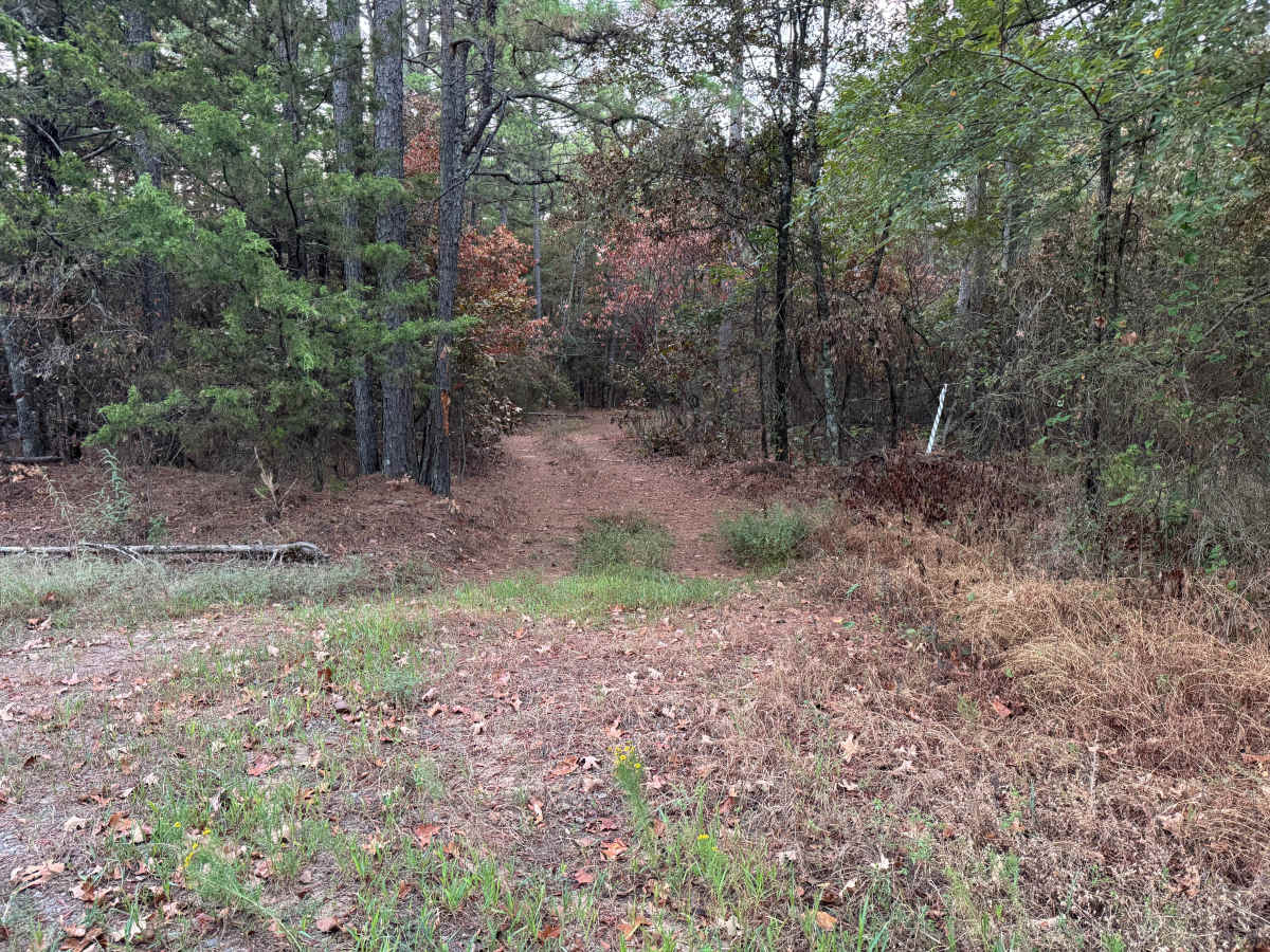 FS 1669A trail photo