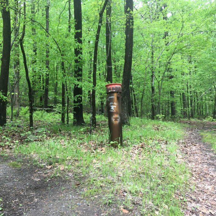 Near Oreland Trail