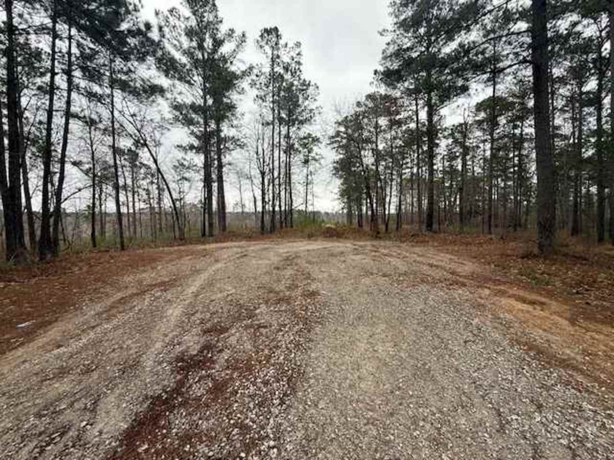 Woodward Branch photo 2