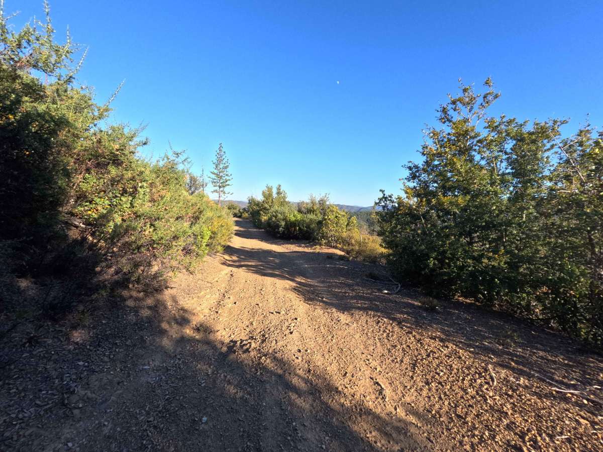 Little Sullivan Ridge - FS 85346 photo 5