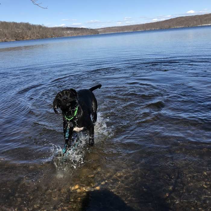 Near Hawks Watch via Wildcat Ridge Trail
