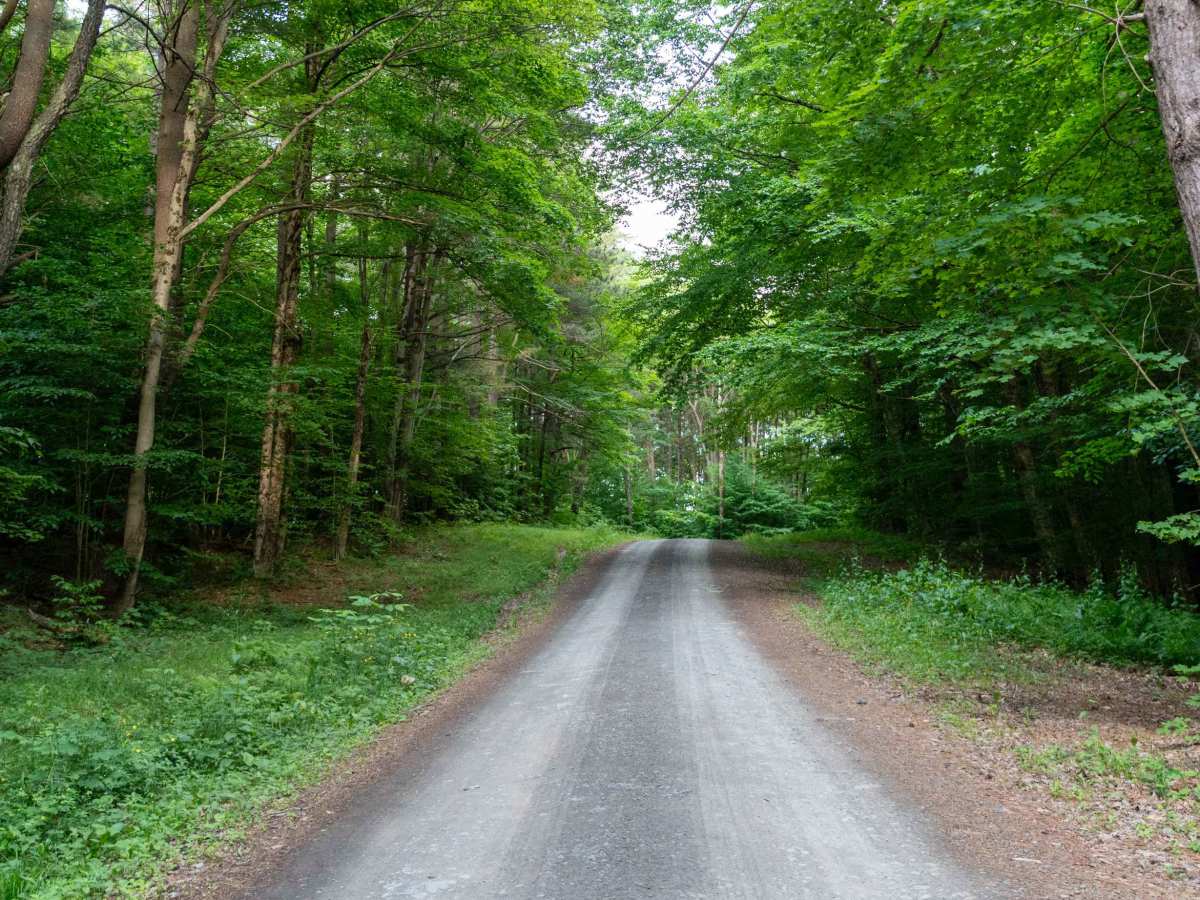 Truck Trail 12 photo 3