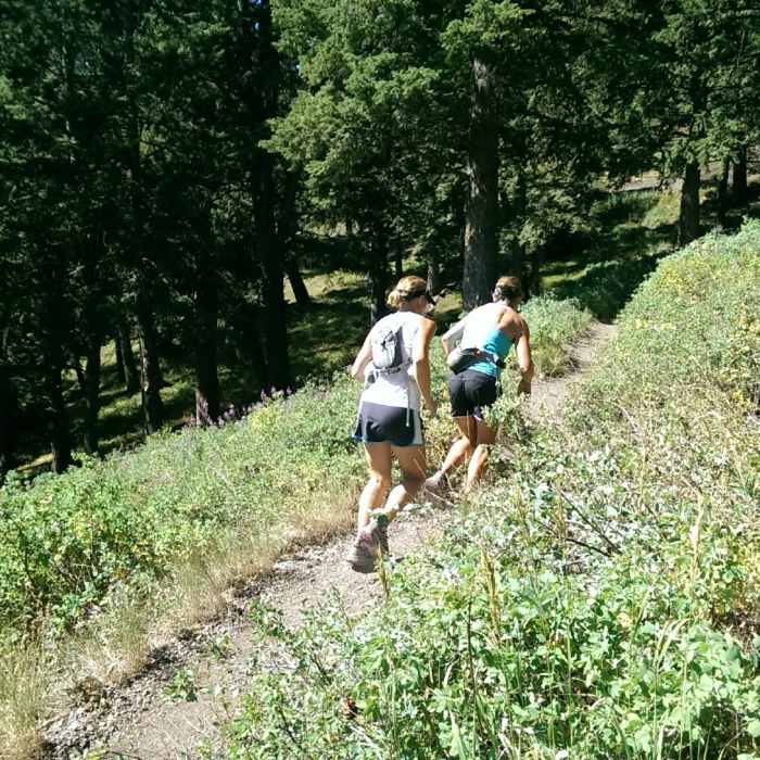 Near Bald Mountain Trail