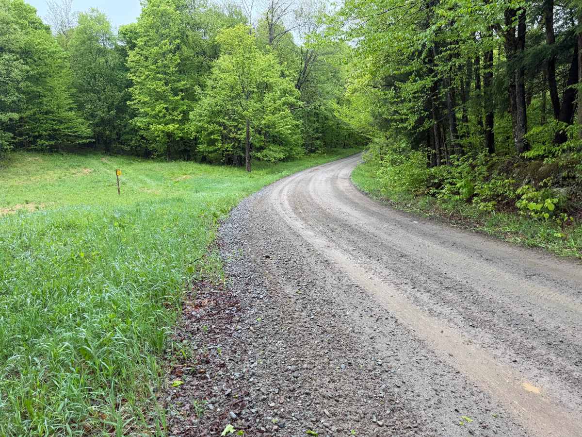 Goodhines Road photo 6