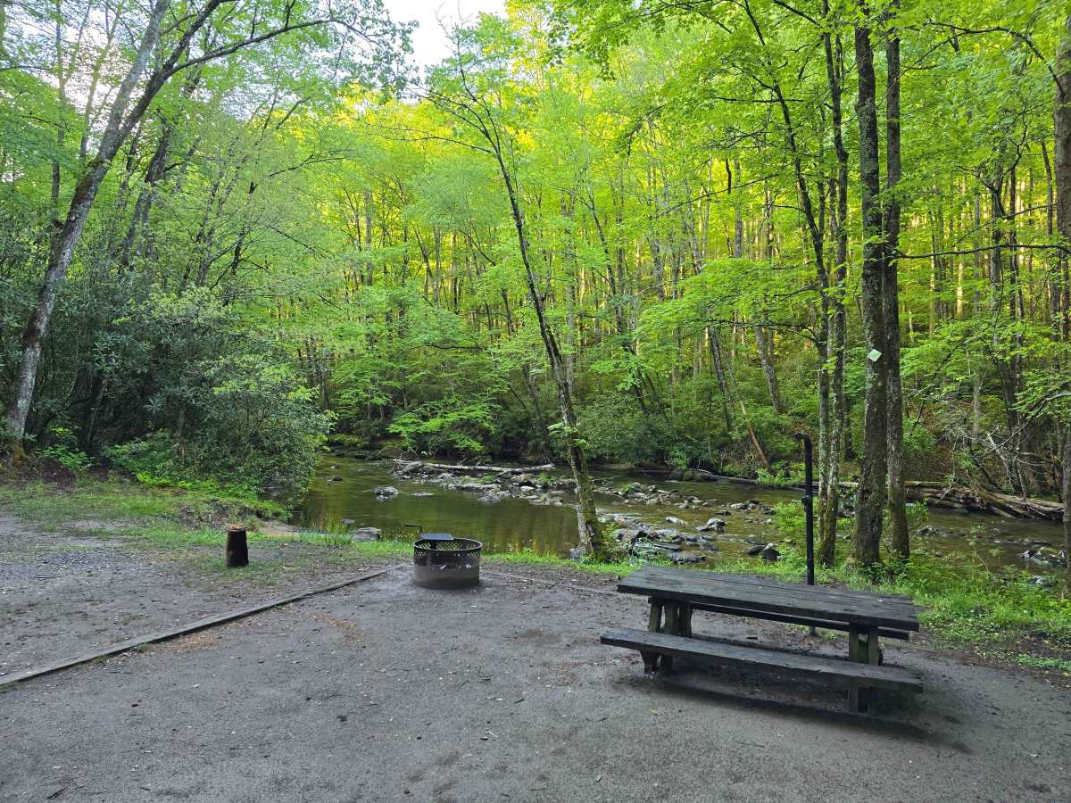 Snowbird Road photo 6