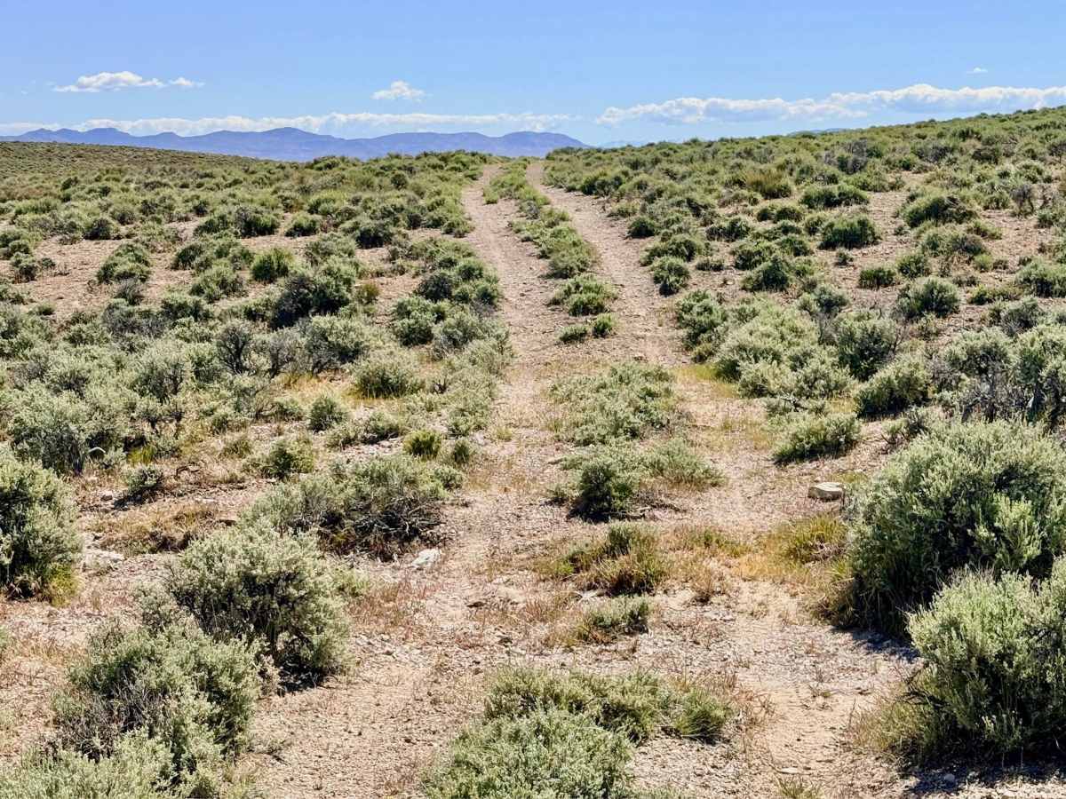 Upper Mud Springs North End - FS 44057 photo 4
