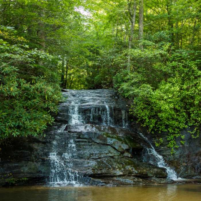 Near Wildcat Nature Trail Loop Near Wildcat Nature Trail Loop