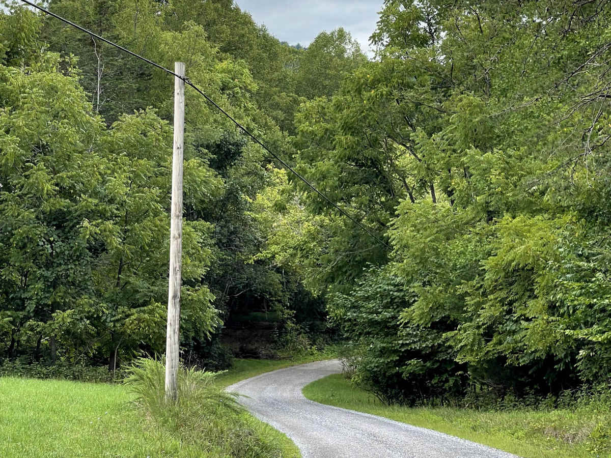 Allen Branch Road photo 2