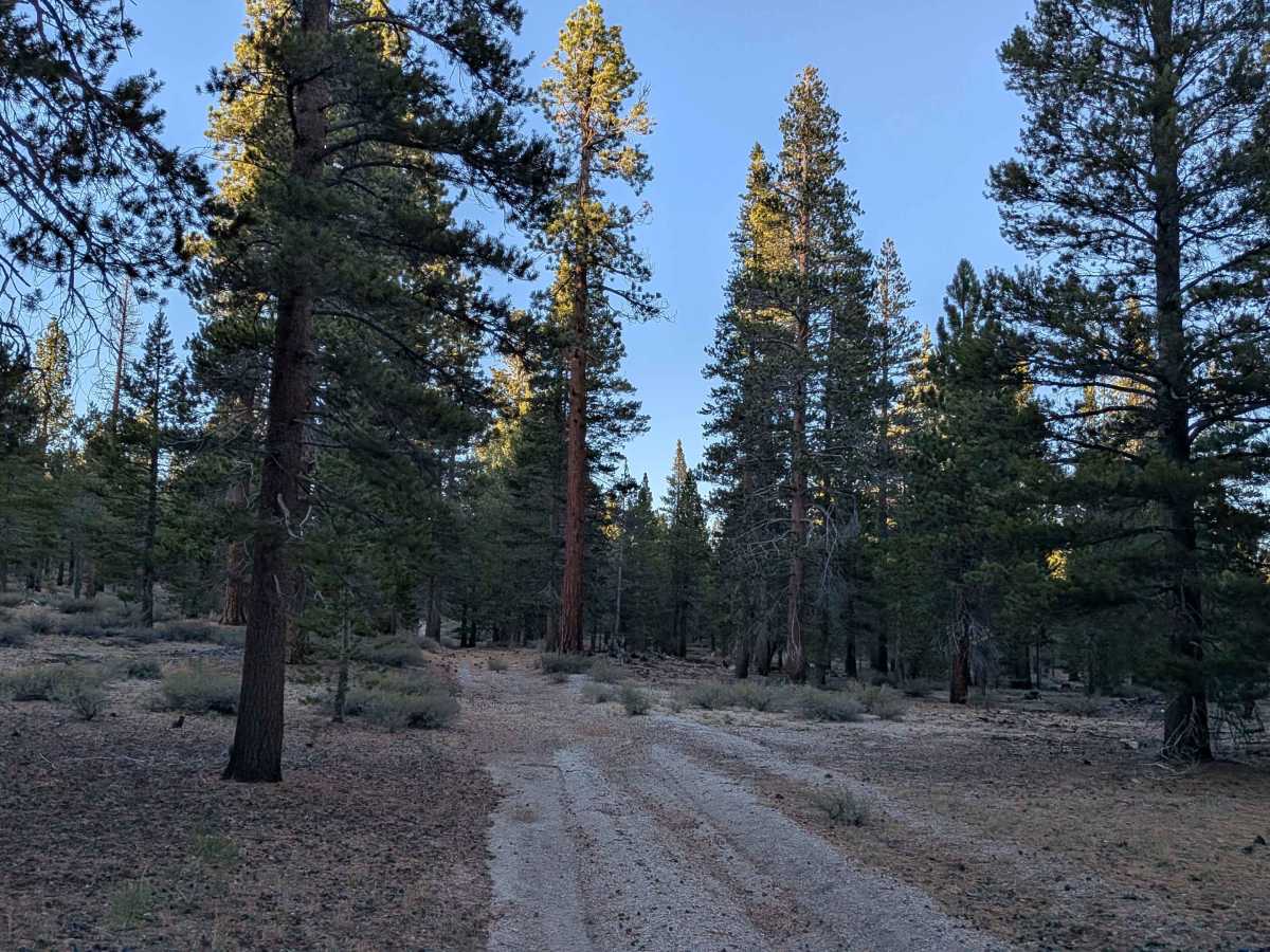  FS 1S135 trail photo