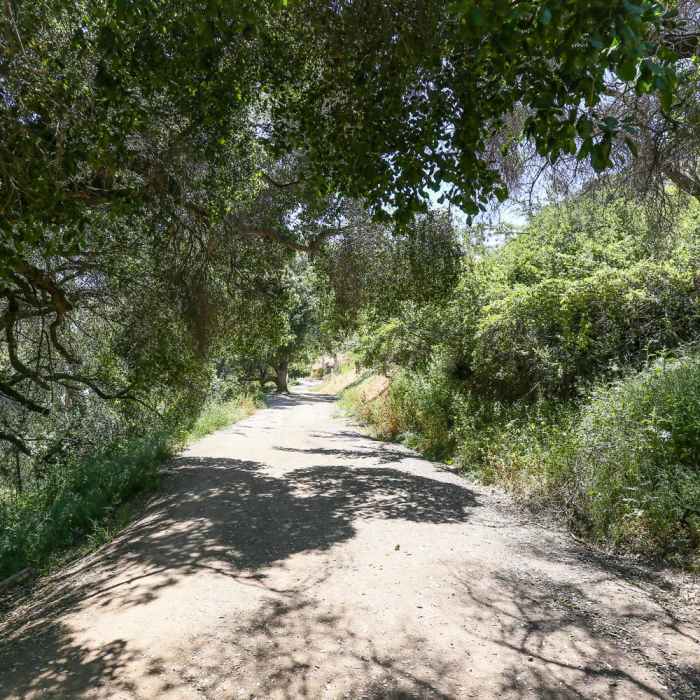 Near Hollywood Sign and Bronson Caves