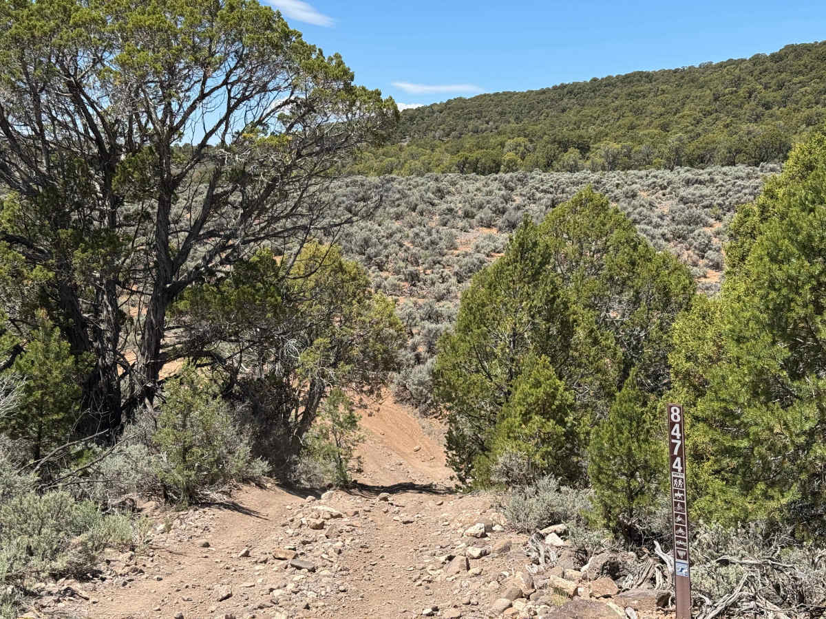 BLM 8474 photo 5