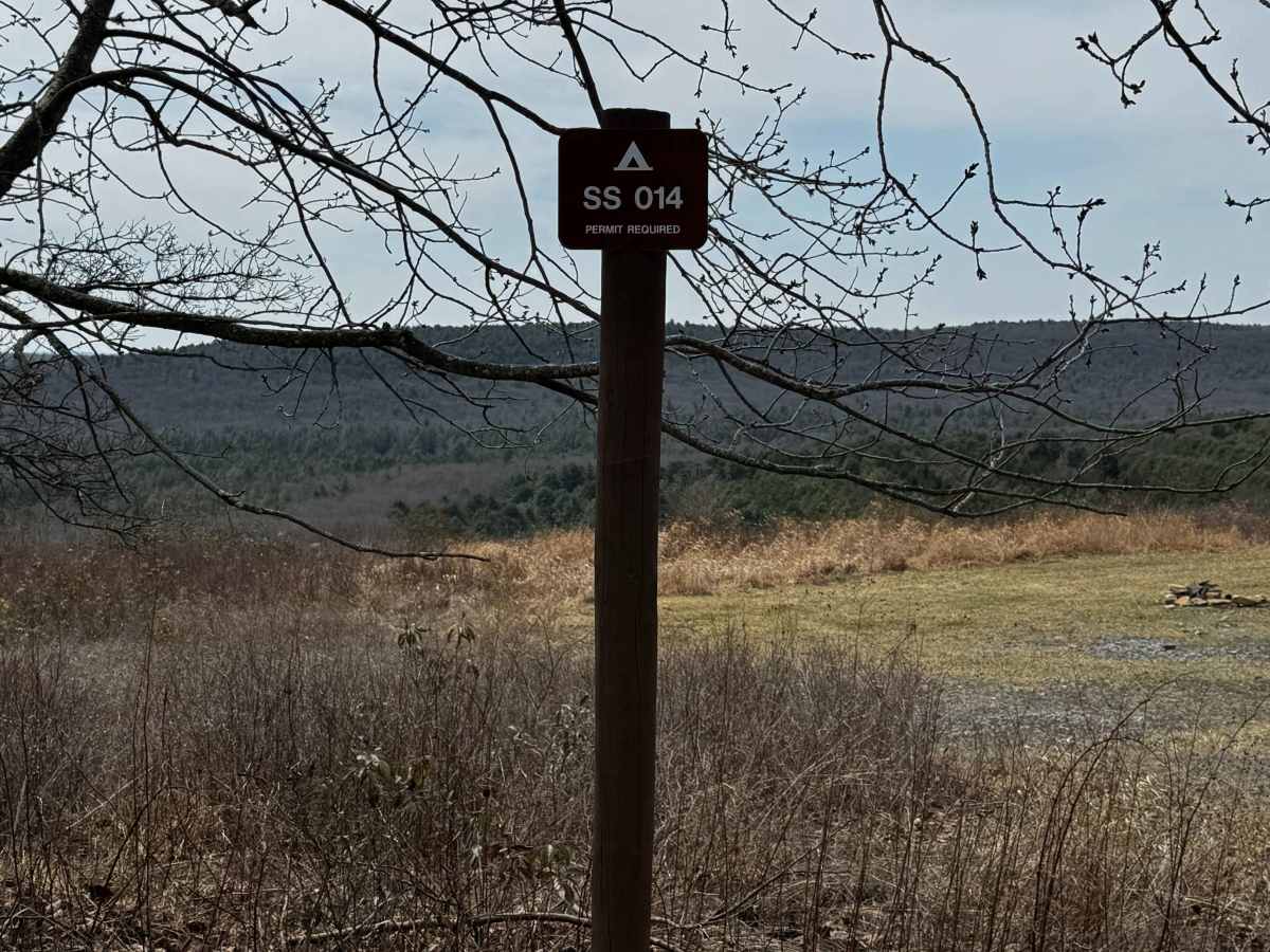 Swamp Branch Road photo 6