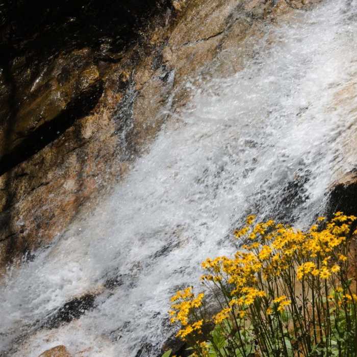 Near Cascades Trail #70