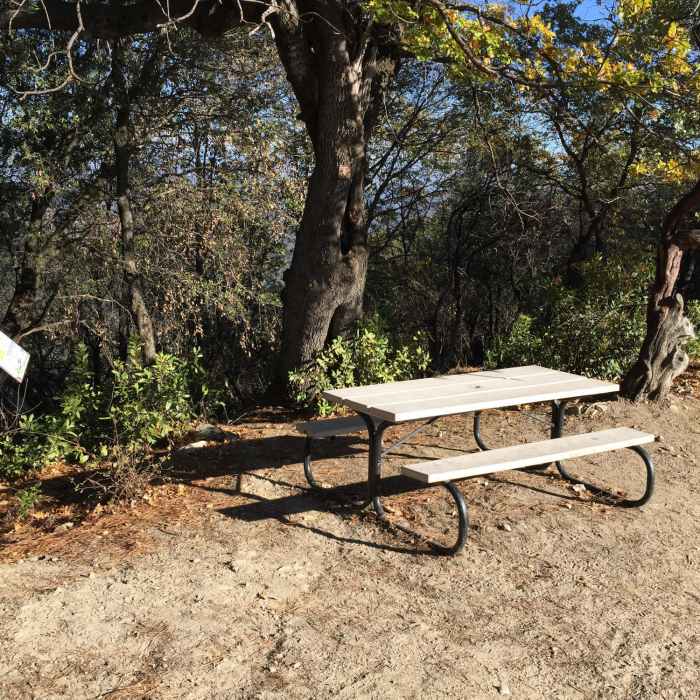 The Mule Trailhead features a map and a bench to rest on. Near Mule Mountain Loop Trail