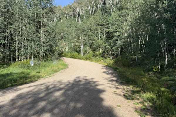 Taylor Mesa Road