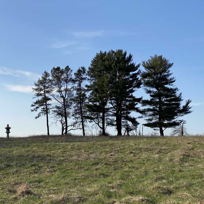 Near Merestead County Park