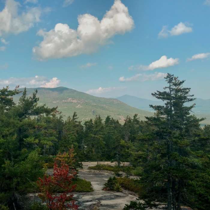 Near White Ledge Loop Trail