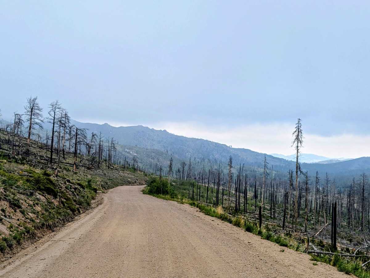 Buckhorn Road - 44H photo 6