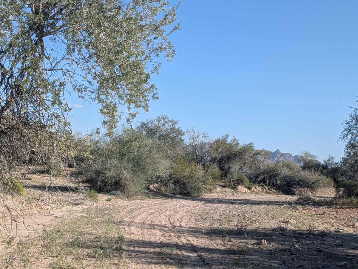 EC1164 trail photo