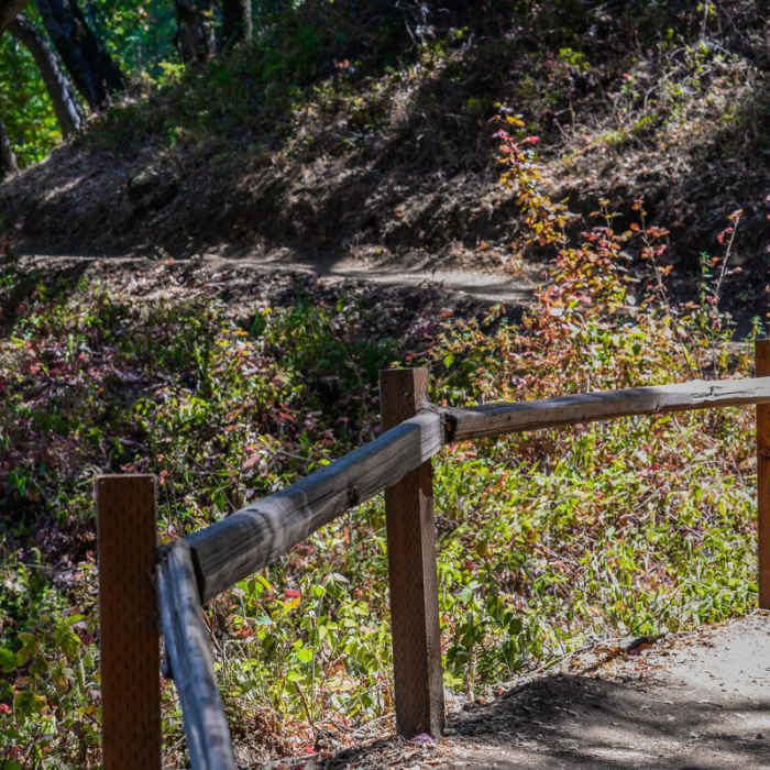 Near Rogue Valley + Wildcat Loop