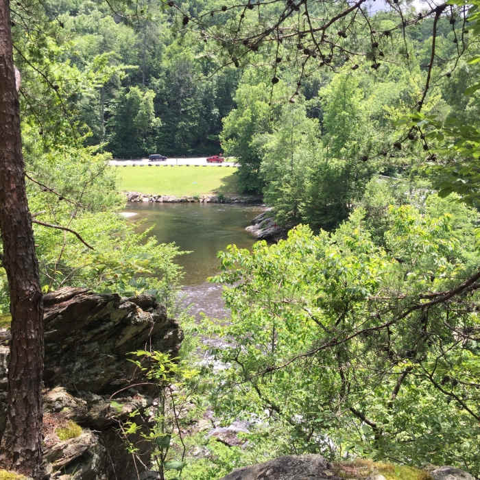 View of the Townsend "Y" near the end of the trail. Keep in mind that unless you return to the trailhead, you must cross the river. Near Roundtop Trail