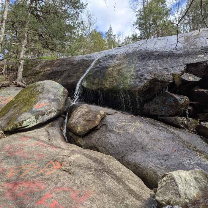 Near 40 Acre Rock Trail