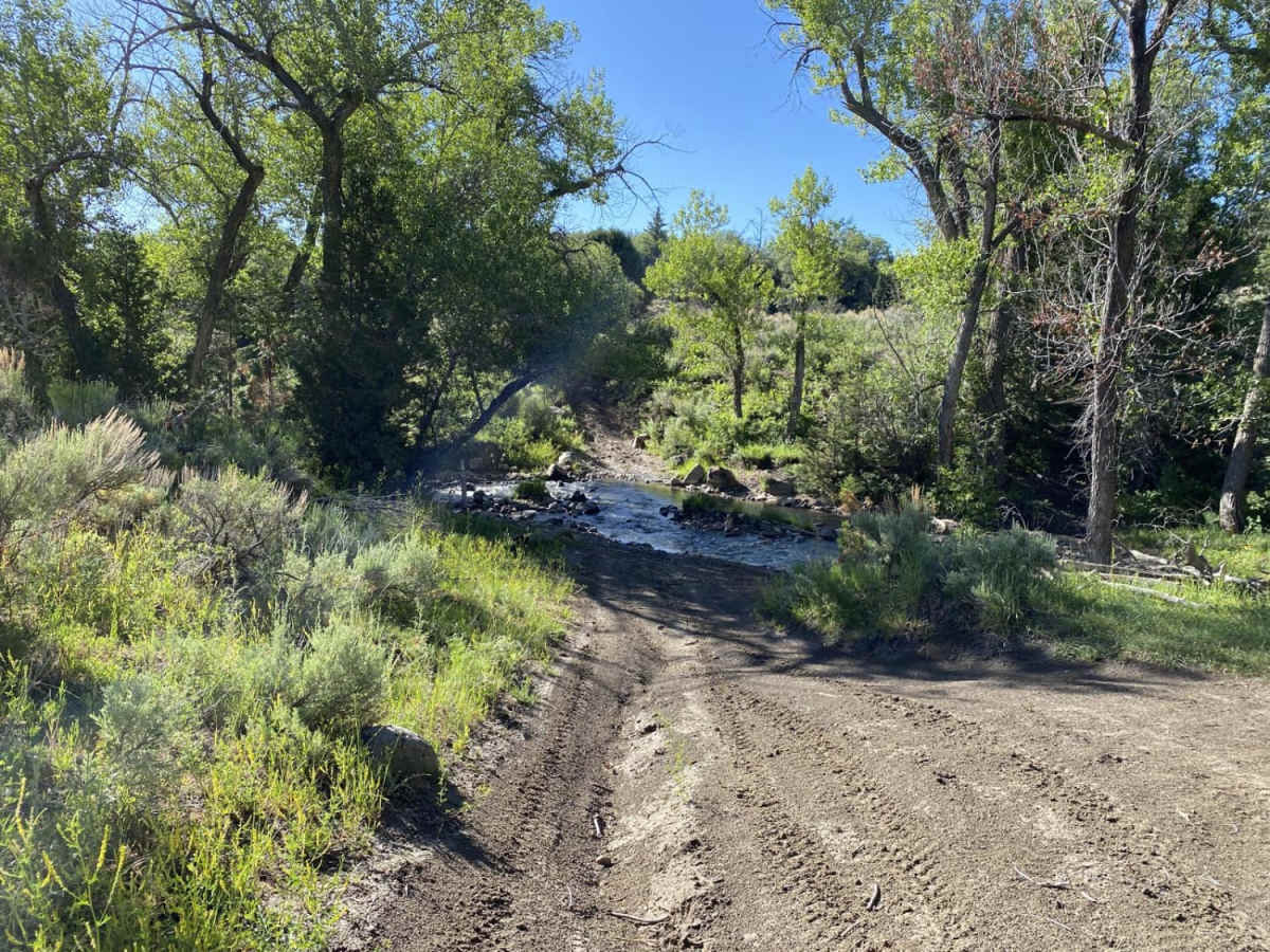 Antones Hollow Trail photo 4