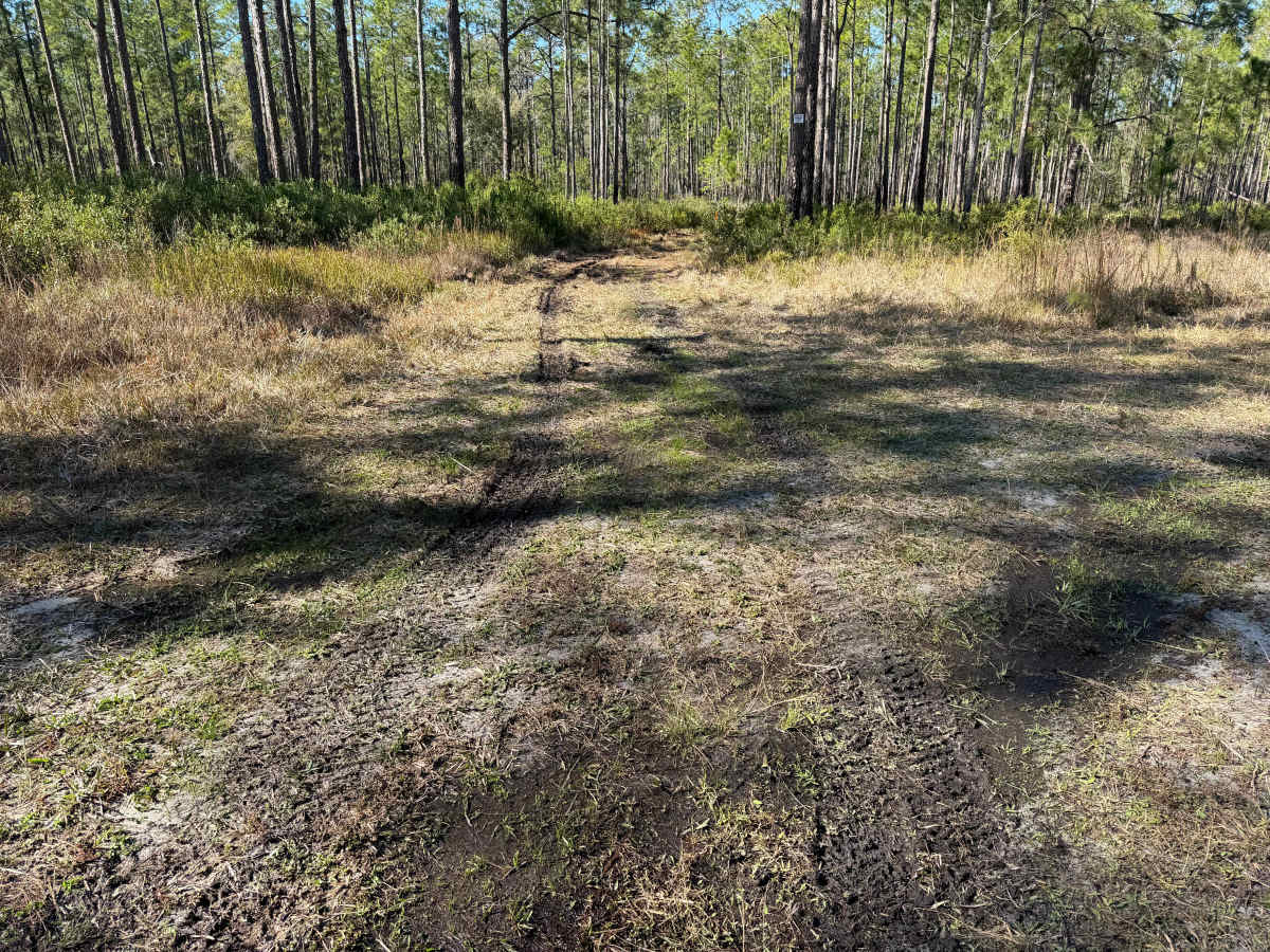 Levee Road photo 4