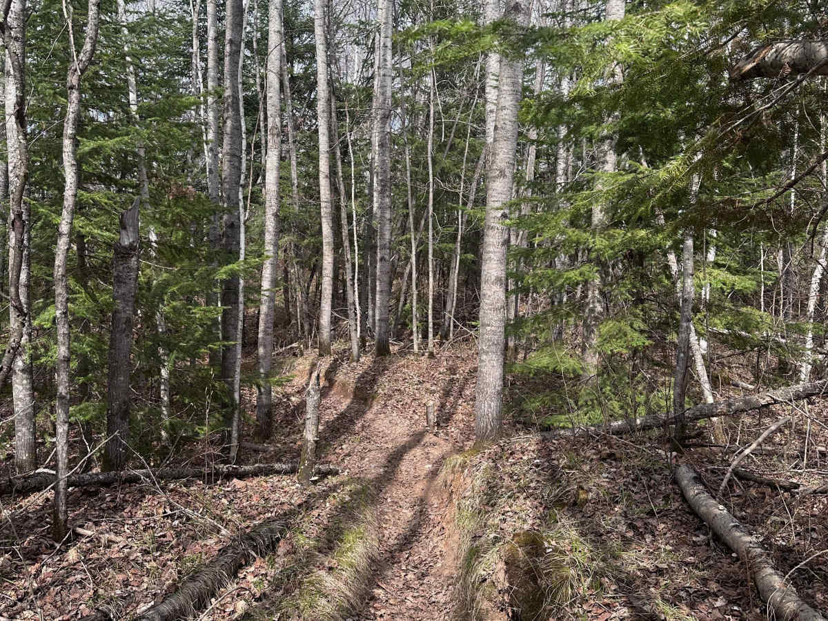 Corduroy Trail photo 2
