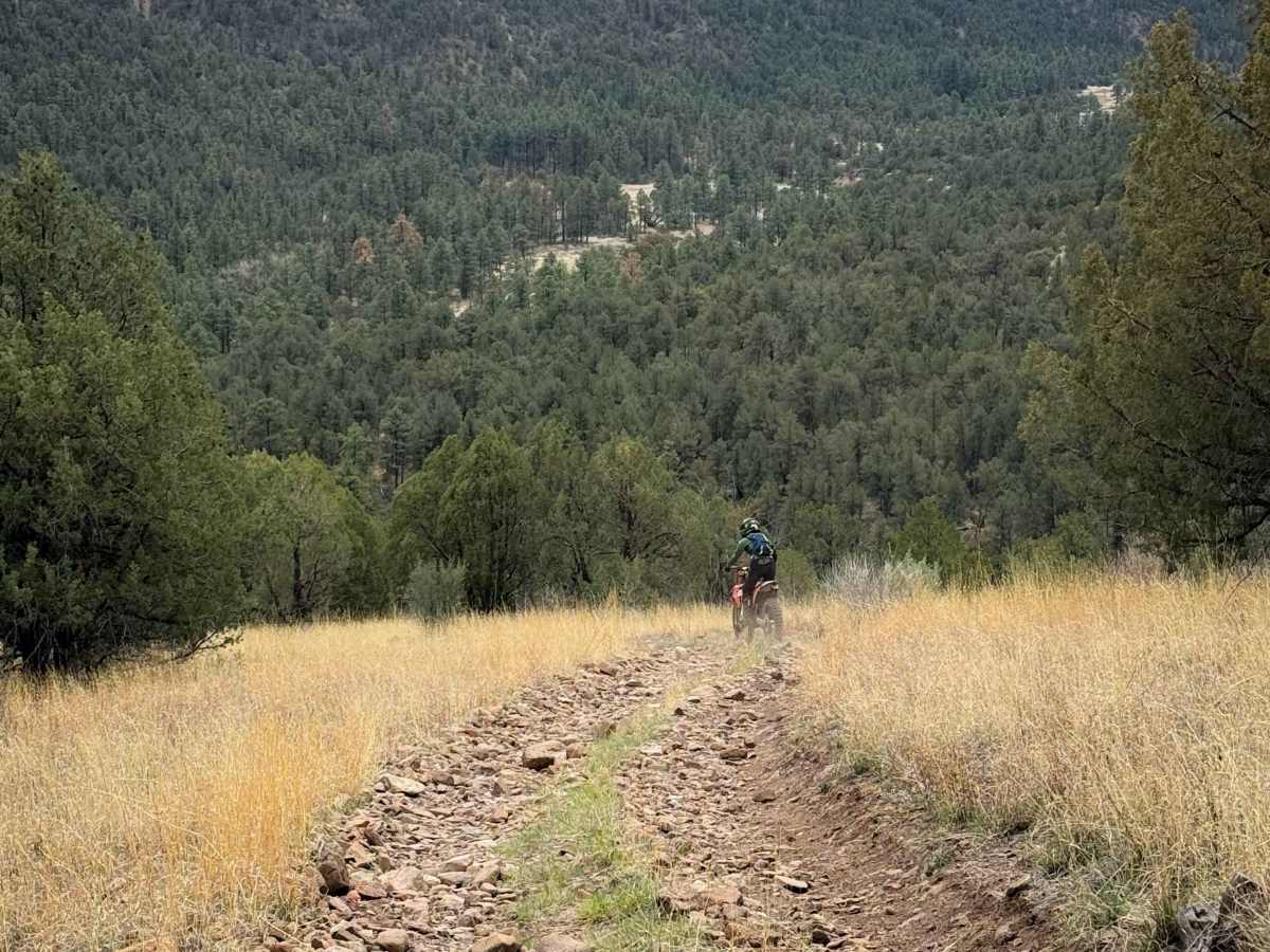 Trail 967 photo 5