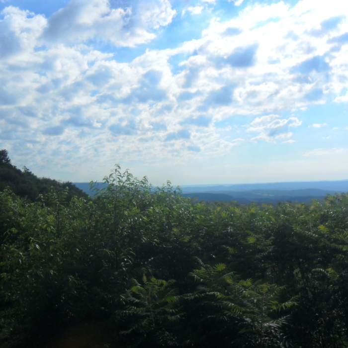 Near Lost Turkey Trail