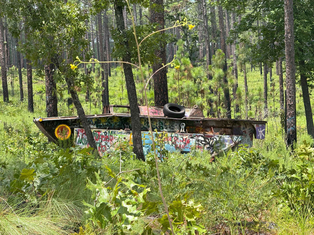 Deaton Lane trail photo