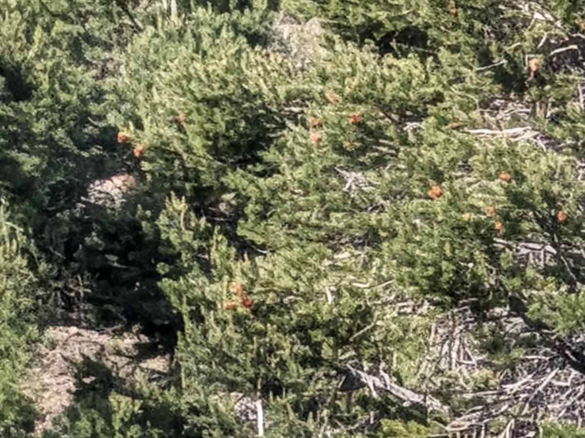 Aurora Canyon Road photo 4