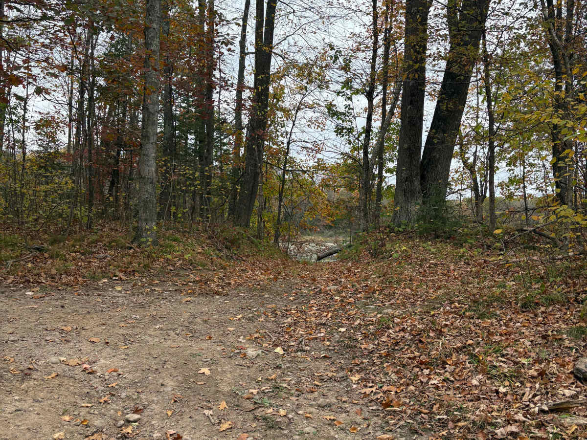 Porkey Lake Loop photo 6