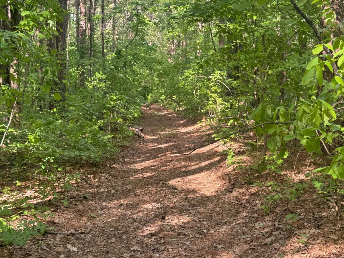 Cadiz Campground Trail photo 6