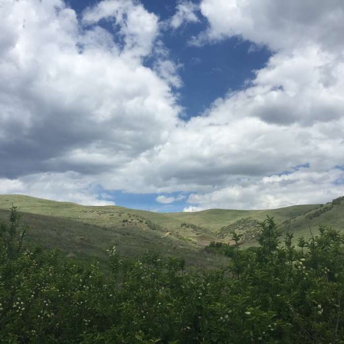 Near Green Mountain Trail