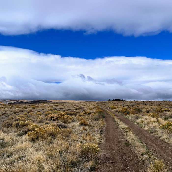 Near Little Whitehorse Road Near Little Whitehorse Road