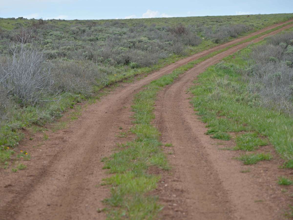 Barker Ridge - FS 10583 photo 3
