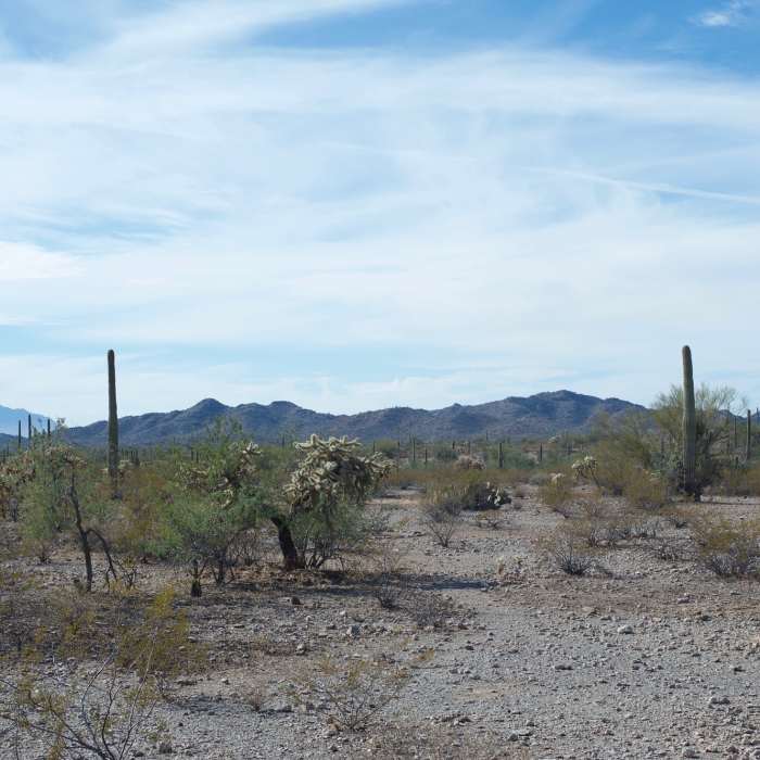 Looking out into the desert, you can see the mountains to the South. Near Campground Perimeter Trail