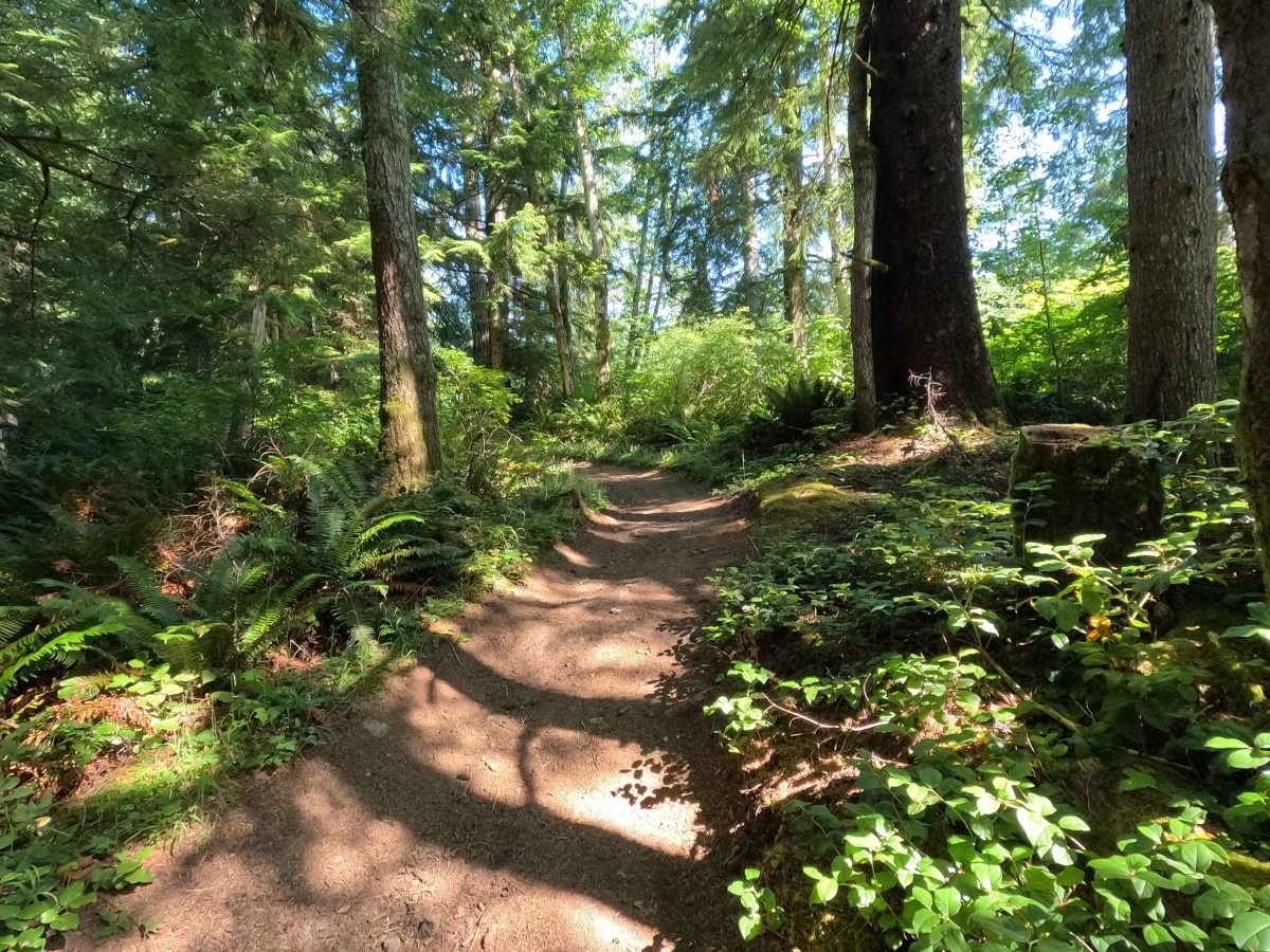 Sadie Creek Trail photo 2