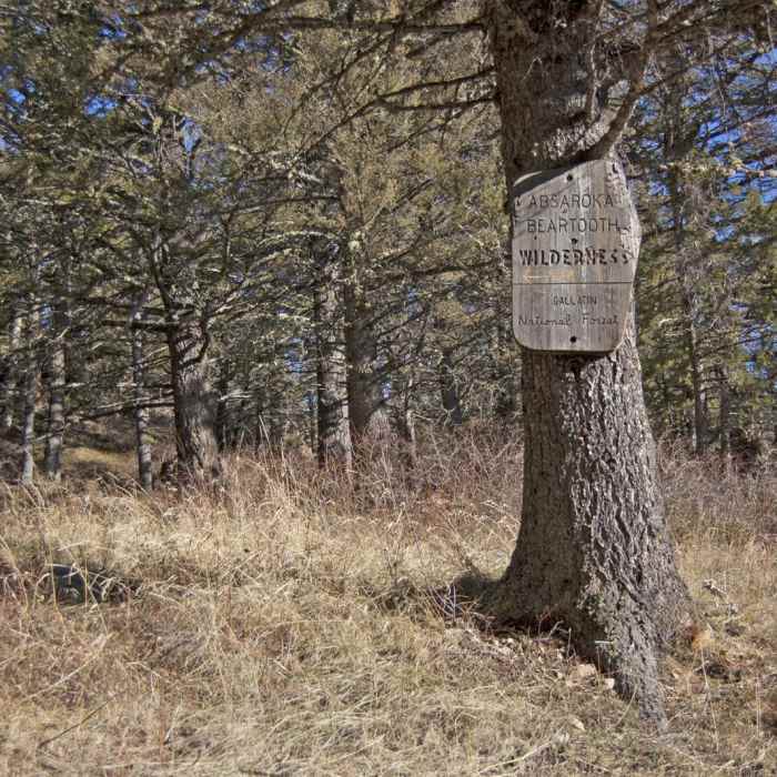 Near Baldy Basin Saddle via West Baldy Basin