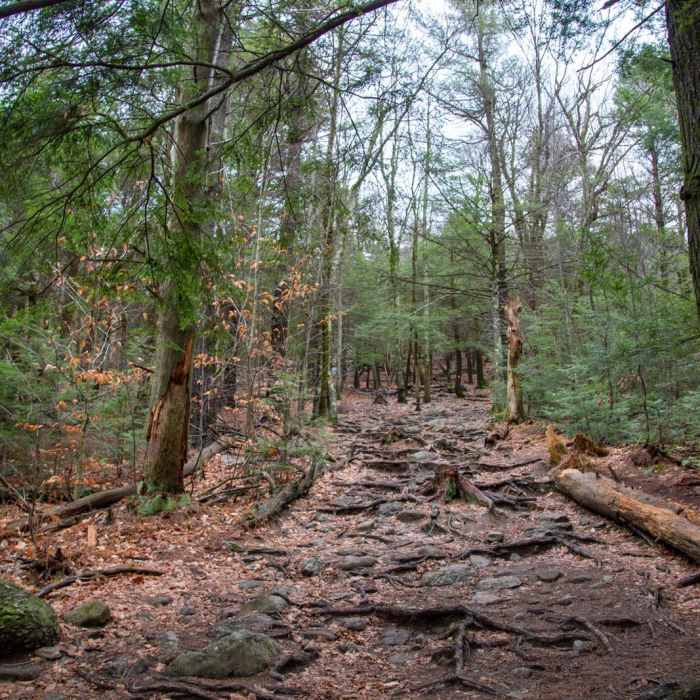 Near Wapack Trail to Mount Watatic and Pratt Mountain Near Wapack Trail to Mount Watatic and Pratt Mountain
