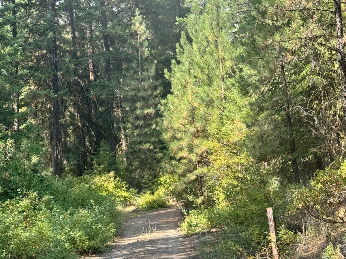 FS 1100-945 trail photo